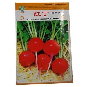 锦萱 红丁·樱桃萝卜种子 家庭种植实用装 阳台