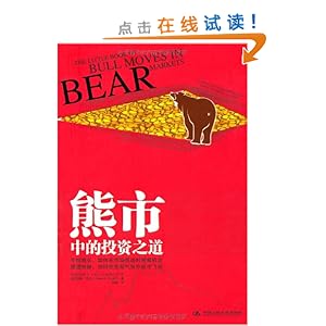 熊市中的投资之道(财经畅销书《美元大崩溃》作者再度奉献)