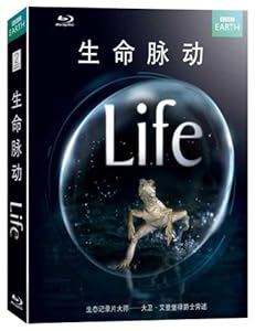 生命脉动-DVD