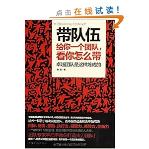 带队伍:给你一个团队,看你怎么带