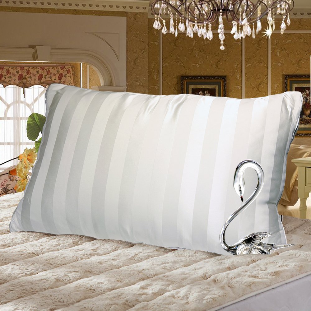 真丝蚕丝枕头枕芯一对拍2选什么牌子好 同款好