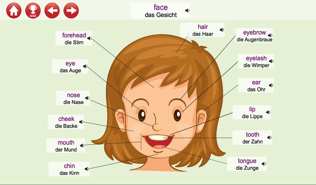 Learn English: Listen, speak and play