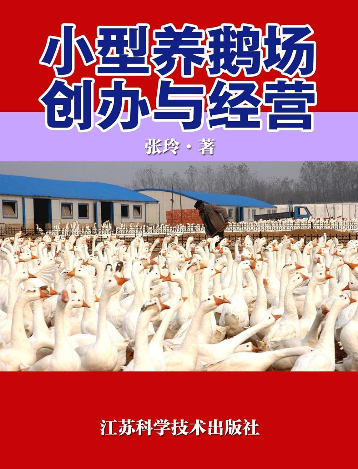 江苏哪里有养鹅场-农村养殖项目-养鹅补贴-河道