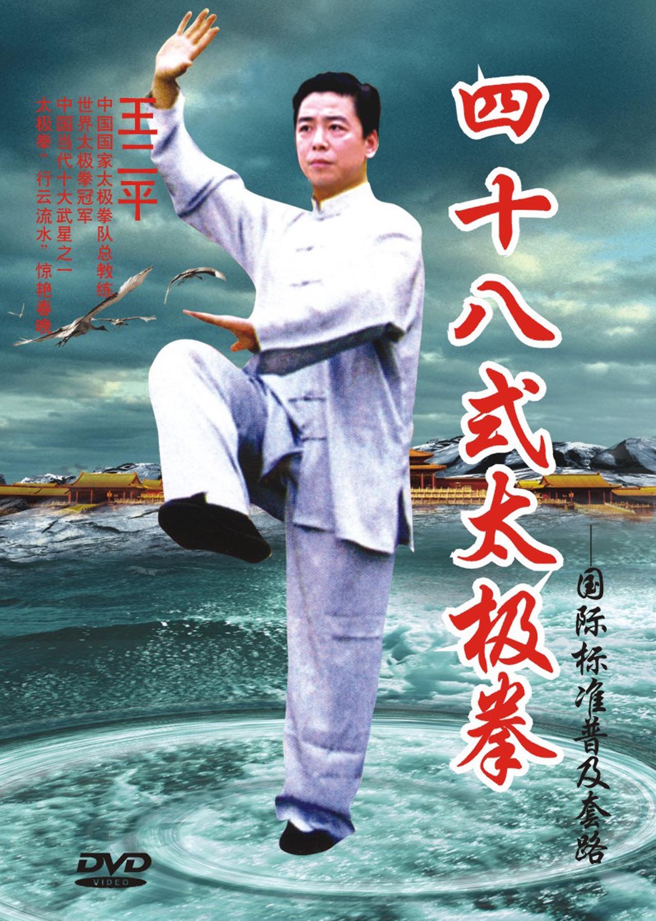 王二平:四十八式太极拳(DVD):亚马逊:教育音像