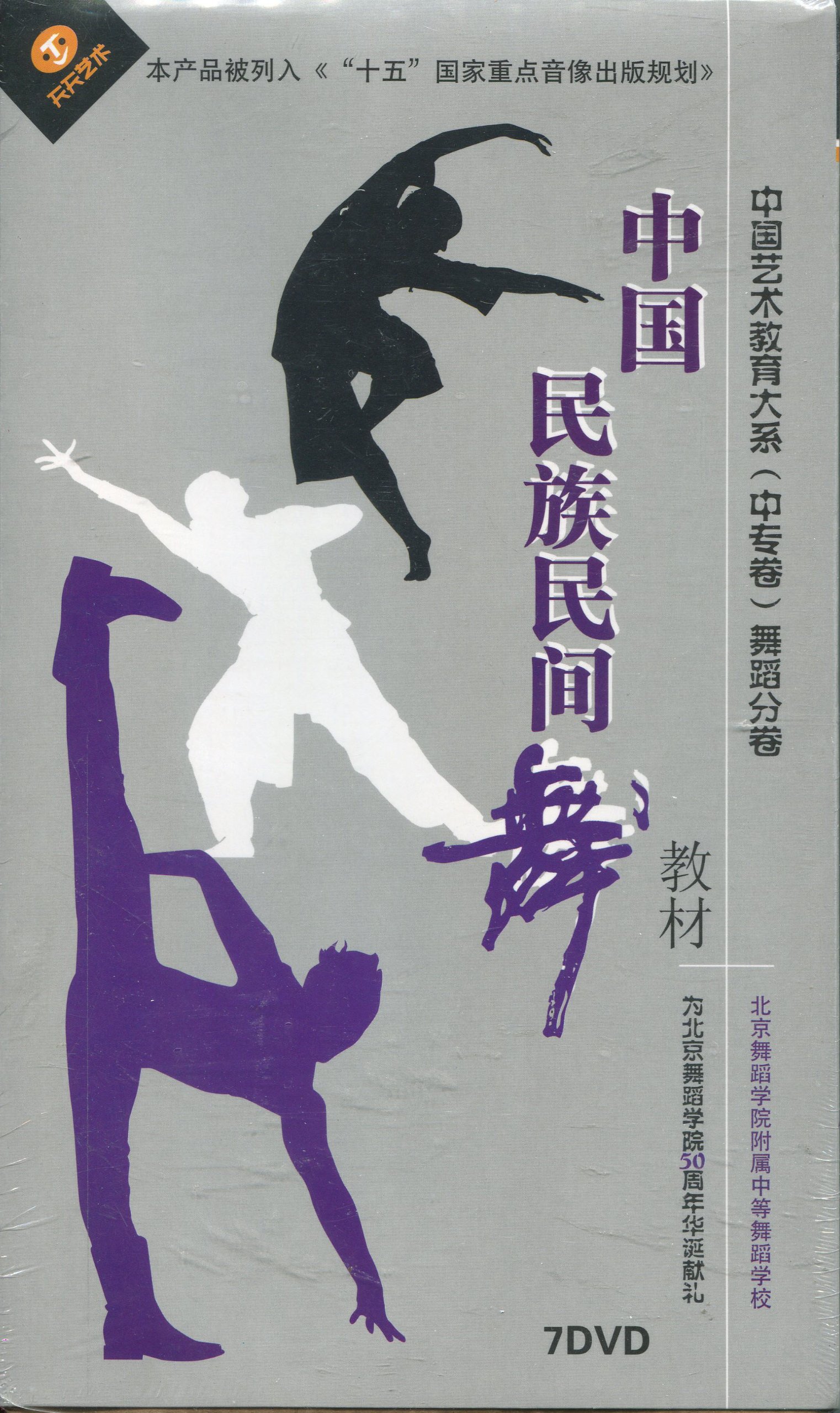 中国艺术教育大系:舞蹈分卷中国民族民间舞教